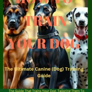 How To Train Your Dog